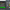 Front view of PLEX Knock Monitor V3 displaying ECU data logging and "Logging Started" message on screen.